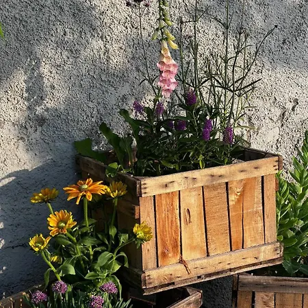 Cascina Gazzeri Tagliolo Monferrato